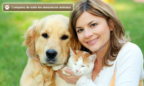 Assurance pour animaux